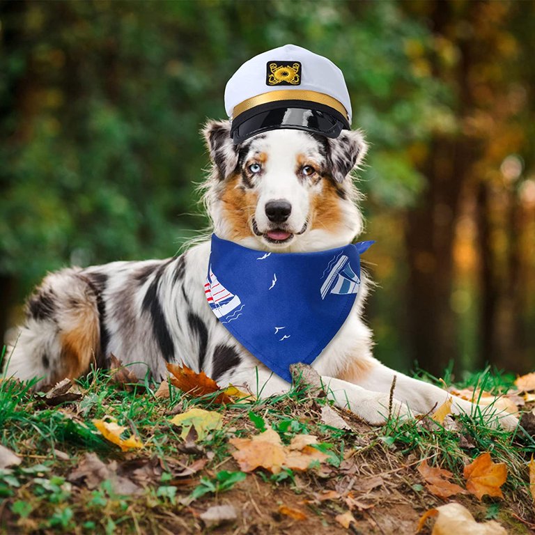 Sea Captain Dog Costume