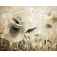 thumbnail image 2 of Kimberly, Allen 32x26 Gold Ornate Wood Framed with Double Matting Museum Art Print Titled - Vintage Poppy 2, 2 of 4
