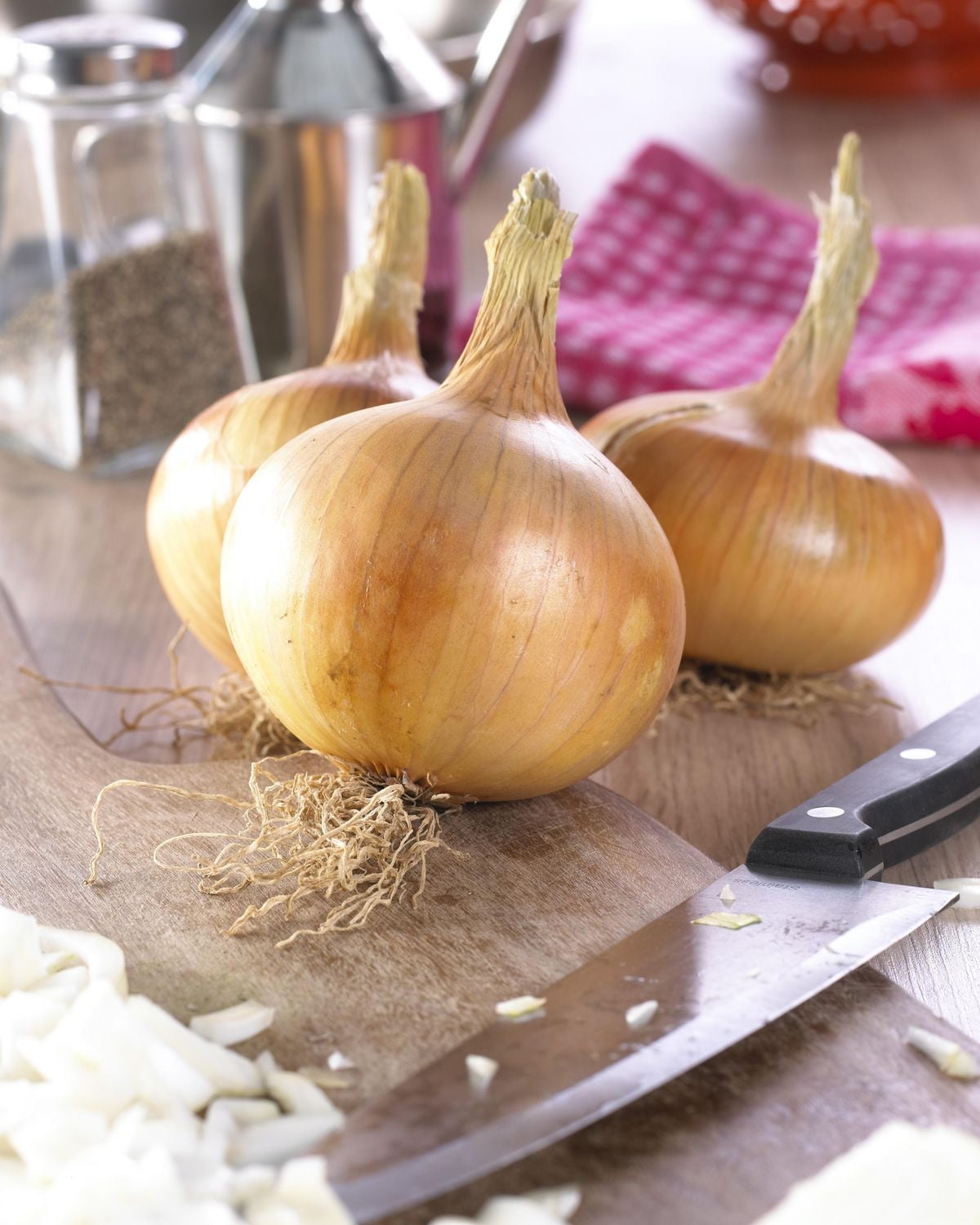 TASC Plant Bulbs – Sturon Spanish Onion Biennial Vegetable Onion Bulb, Onion Sturon 250 g bulbs