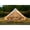 Beige + 9.8ft, variant on ChenyueFurn 9.8ft Oxford Bell Tent, 3-4 Person 4 Season Glamping Yurt with Stove Jack,Beige