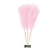 thumbnail image 3 of Billuyoard 3 unids/set Pampas Reed decoración Bohemia Rosa claro, 3 of 6