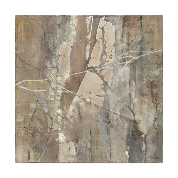 Trademark Fine Art 'Silver Ii' Canvas Art by Albena Hristova