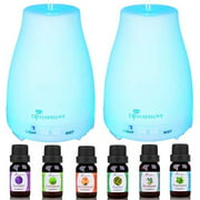 Diffuserlove 2 Pack 200ml Essential Oil Diffuser Ultrasonic Aromatherapy Diffuser with Waterless Auto Shut-off Aroma Cool Mist Humidifiers with 6 Bottles of Natural essential oils