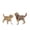 C, variant on 4D Animal Anatomy Model, Detachable Cat Dog Skeleton Organ Dissection Kit, STEM Biology Teaching Aid, Realistic Animal Body Structure Display Model, Ideal for Classroom Education & Gift Giving