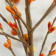 thumbnail image 4 of Fall Artificial Berry Stems 2Pcs Berry Picks Branches Fall Orange Stems Floral Arrangements with Fake Pumpkin for Autumn Thanksgiving Harvest Home Vase Festival Indoor Christmas Decor, 4 of 4
