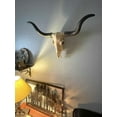 thumbnail image 4 of Zeckos Huge Wall Hanging Longhorn Cow Skull 27in Wide Resin Long Horn Steer Wall Decor for Home, 4 of 8