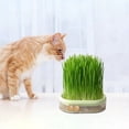 thumbnail image 6 of Cat Grass Planter Wheatgrass Planting Trays Hydroponic Cat Grass Growing Kits for Indoor Cats Soilless Organic Nursery Box Pet Grass Pot, 6 of 6