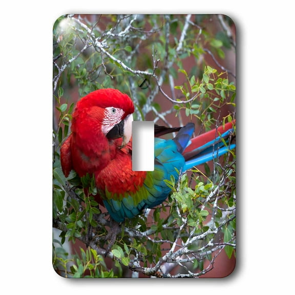 3dRose, Brazil, Sinkhole of the Macaws. Red and green macaw in a tree., single toggle switch
