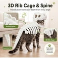 thumbnail image 2 of Dinosaur Skeleton Pet Costume, Pet Dinosaur Costume (#C,Large) | Plush Halloween Pet Hood Outfit for Cats and Dogs, Adjustable Soft Dino Outfit for Halloween & Dress-Up Play, 2 of 6
