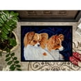 thumbnail image 3 of Carolines Treasures 7241JMAT Papillon Doormat 24x36 36"L x 24"W multicolor, 3 of 4