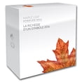 thumbnail image 4 of 2016 Canada 1 kilo Silver $250 Maple Leaf Forever, 4 of 4