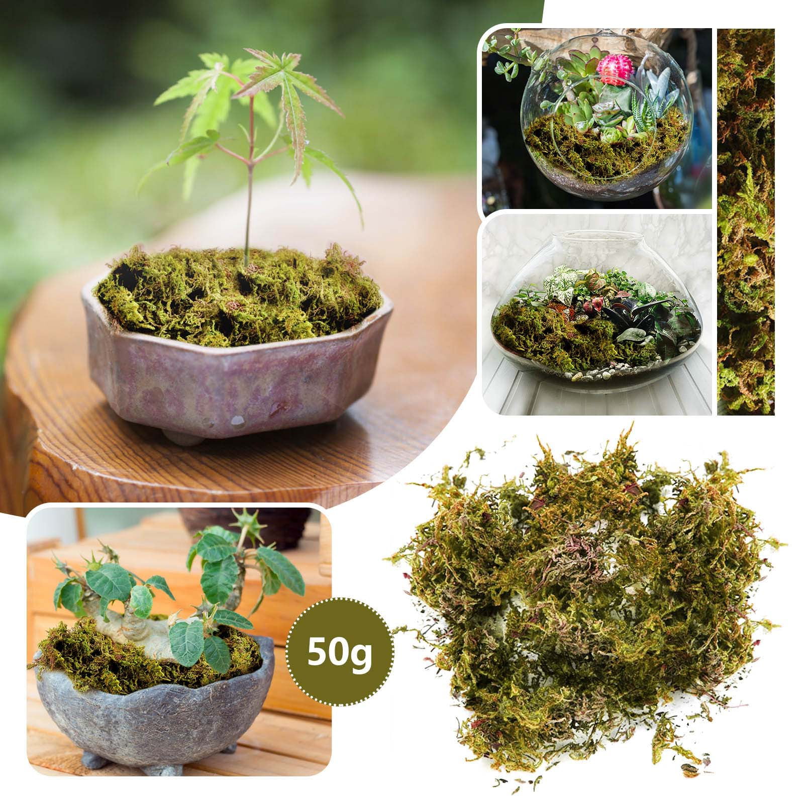  Farmoo Artificial Moss for Plant, 8OZ Fairy Garden Lawn Crafts  Wedding Decor, 225gr (Fresh Green Moss) : Home & Kitchen