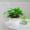 thumbnail image 6 of olkpmnmk Flower Pot Holder Ring, Wall Mount Hanging Plant Holder, Heavy Duty Round Metal Planter Hooks Hangers, Fence Pot Plant Holders Hanging Bracket for Outdoor Indoor Plants Decor, 5 Inch, 6 of 7