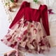 thumbnail image 4 of Vestidos de tul Wancir para niñas pequeñas, otoño, mangas largas, tutú de flores, vestido de fiesta para niña pequeña, cumpleaños, invitada de boda, 4 of 8