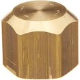 thumbnail image 1 of Delta RP34849 12 Female Ips Brass Cap, 1 of 1