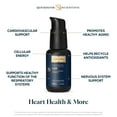 thumbnail image 2 of Quicksilver Scientific CoQ10 Nanoemulsion - Liposomal Coenzyme Q10 Cardiovascular Support & Cellular Energy Supplement - Fast Absorbing Liquid CoQ10 (1.7oz / 50ml), 2 of 5