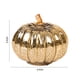 thumbnail image 3 of Luz Nocturna Led de Calabaza Dorada | 3 Modos de Iluminación | Decoración de Halloween de Vidrio y Plástico | Lámpara de Mesa Otoñal para Acción de Gracias | Pilas No Incluidas, 3 of 7