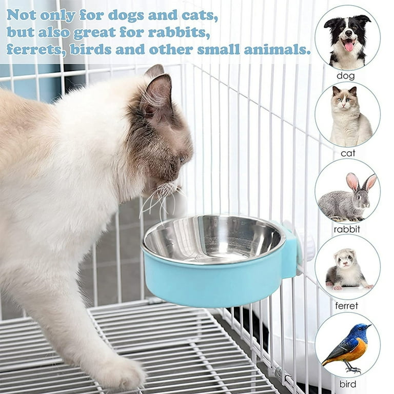 Dog and cat hot sale bowls