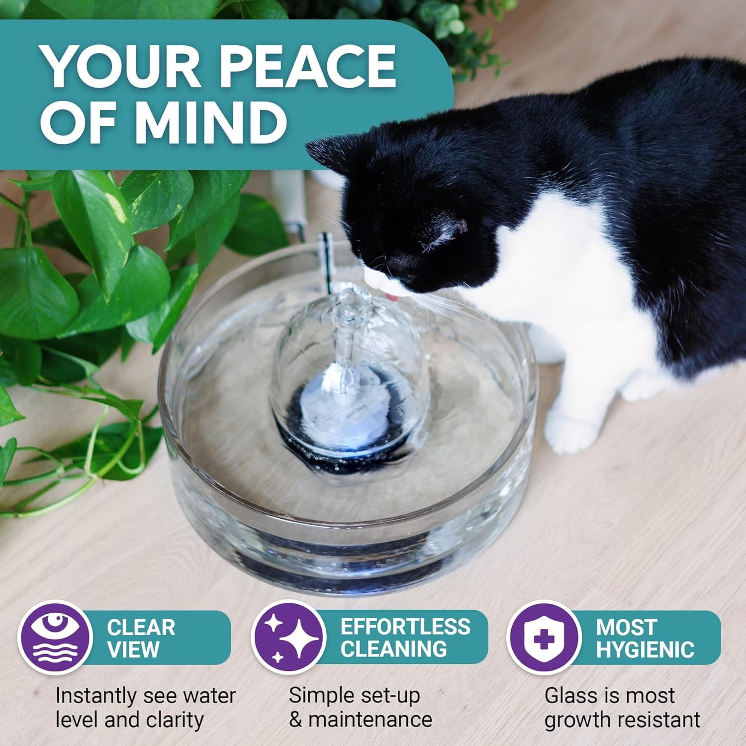 Glass Pet Fountain (90oz/2.7L) – Cat & Dog Water Fountain – Glass Cat Fountain & Automatic Water Dispenser for Drinking