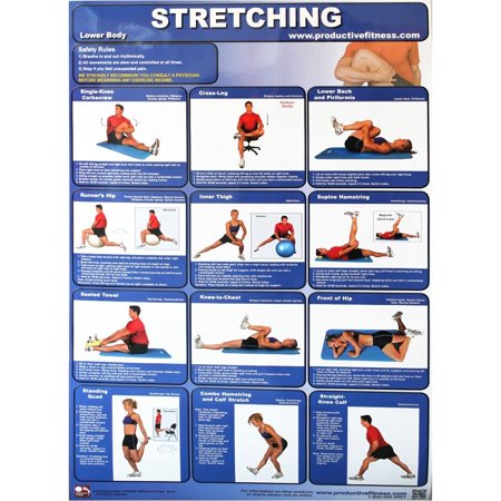 Productive Fitness Posters Stretching Exercise (Upper & Lower Body) for Home (Best Upper Body Stretches)