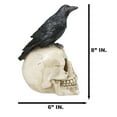 thumbnail image 2 of Myth and Legends Black Odin Raven Crow Perching On Skull Decorative Figurine, 2 of 9