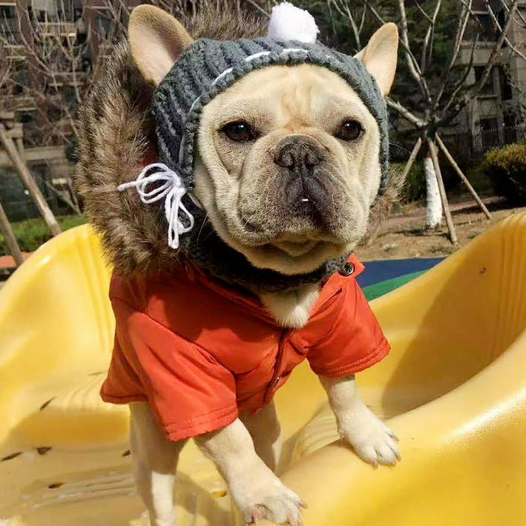 Cute dog cheap hats