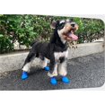 thumbnail image 2 of Paquete de 4 botas de lluvia para perros de silicona suave antideslizante impermeable Candy Jelly botas para mascotas resistentes al desgaste botas de silicona antideslizantes para perros Chihuahua m TUNC Sencillez, 2 of 5