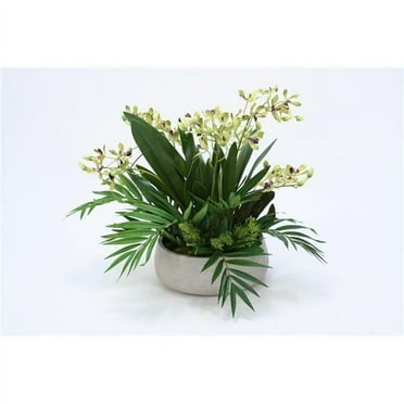 Disttive Designs 9955 Unisex Vanda Orchid Garden in Grey Fiber Stone Bowl - Green