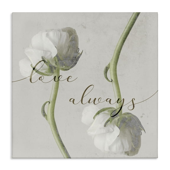 Stupell Industries French Country Love Always Phrase Asymmetrical Floral White Roses Canvas Art, 17 x 17, by Lil' Rue