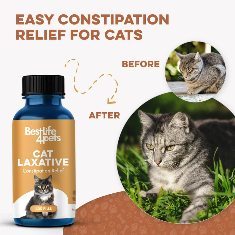 Natural remedies for cat constipation sale