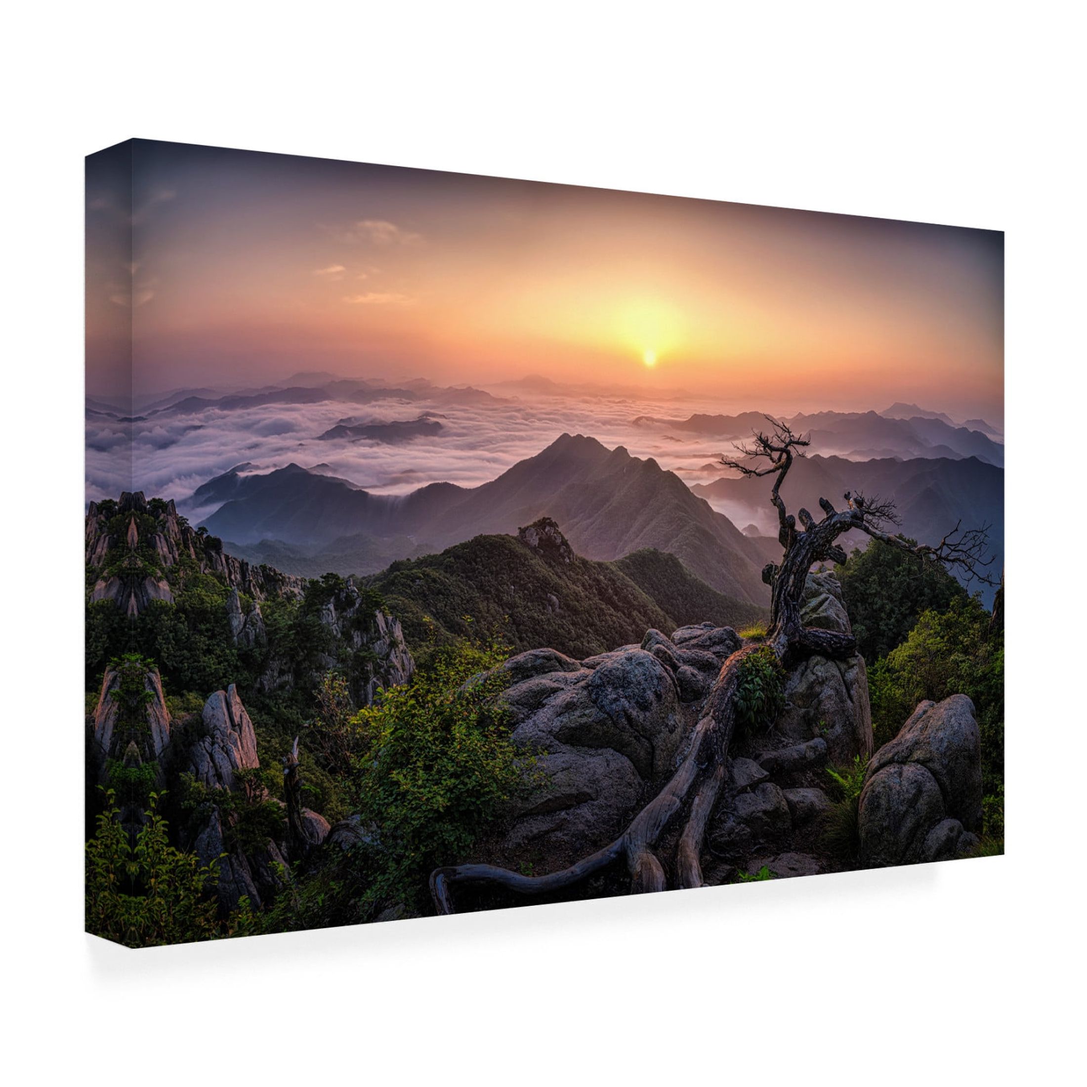 Canvas Wall Art - Tiger Seo 'Sunrise On Top' Wall Art for Living Room, Bedroom, or Office Décor by Trademark Fine Art - 19 x 12 Inches
