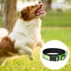 thumbnail image 3 of Collar para perros de nailon reflectante con acolchado de neopreno transpirable, ajustable, 3 of 5