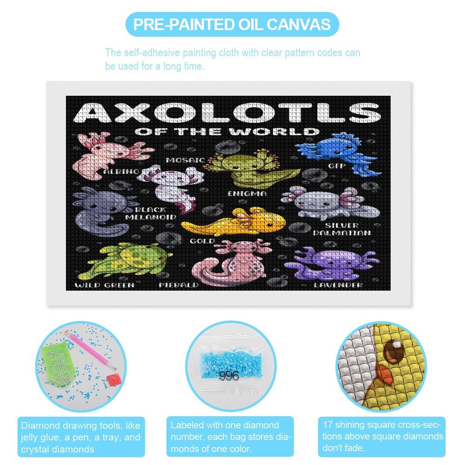 Axolotl Diamond Painting Horizontal (Square Diamond) (Canvas), A Craft For Beginners, Suitable As A Gift Or Home Wall Decoration 12"x20"
