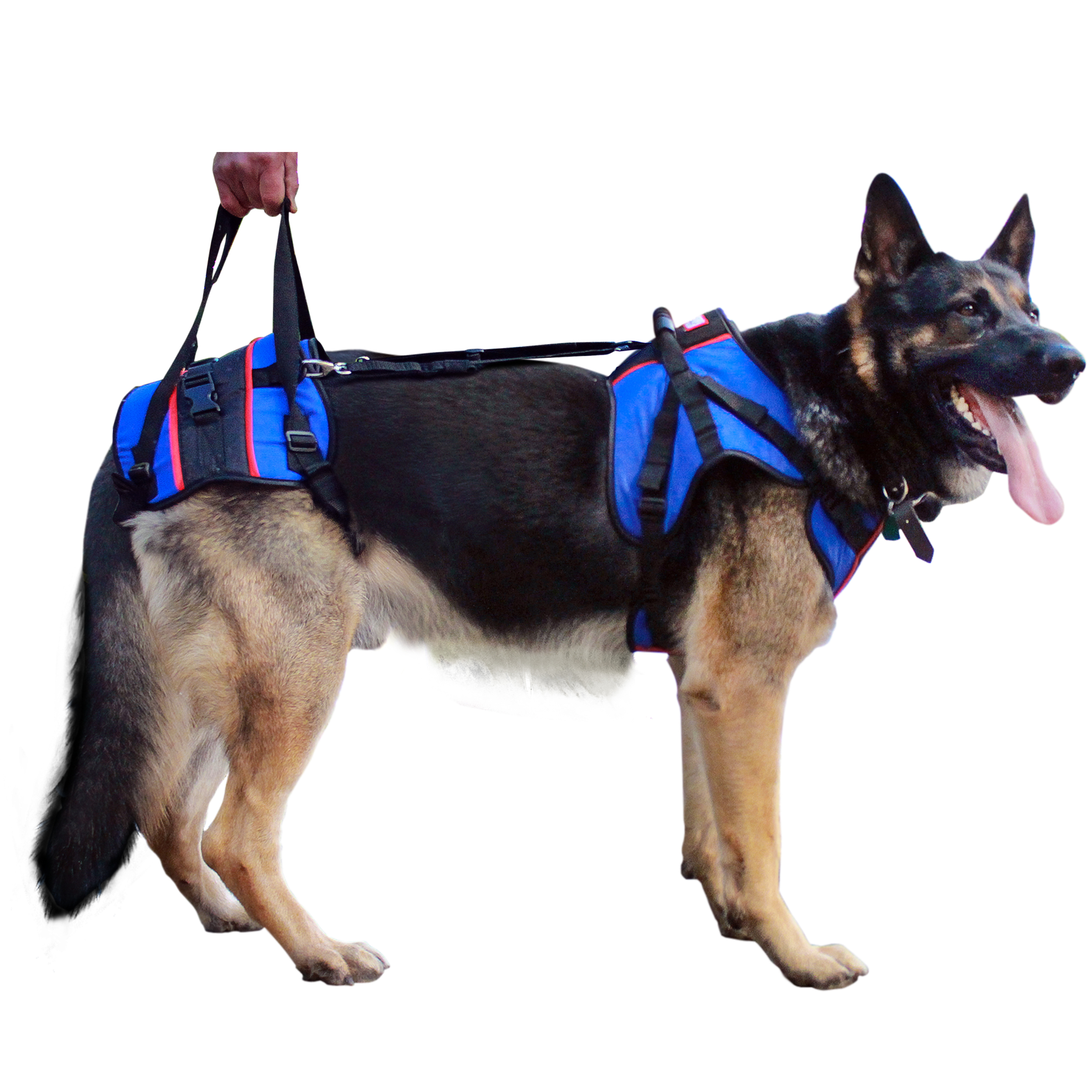 Walkin' Pets Lift Full Support Dog Harness for Big Dogs 70+ lbs Blue