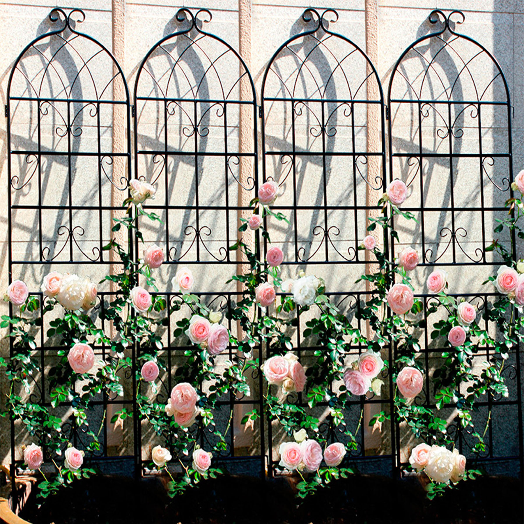 4 Pack Large Garden Trellis 71" H x 19.7" W Heavy Duty Rustproof Black Iron Plant Trellis for Potted Plant Support Metal Climbing Rose Trellis Vine Vegetable Cucumber