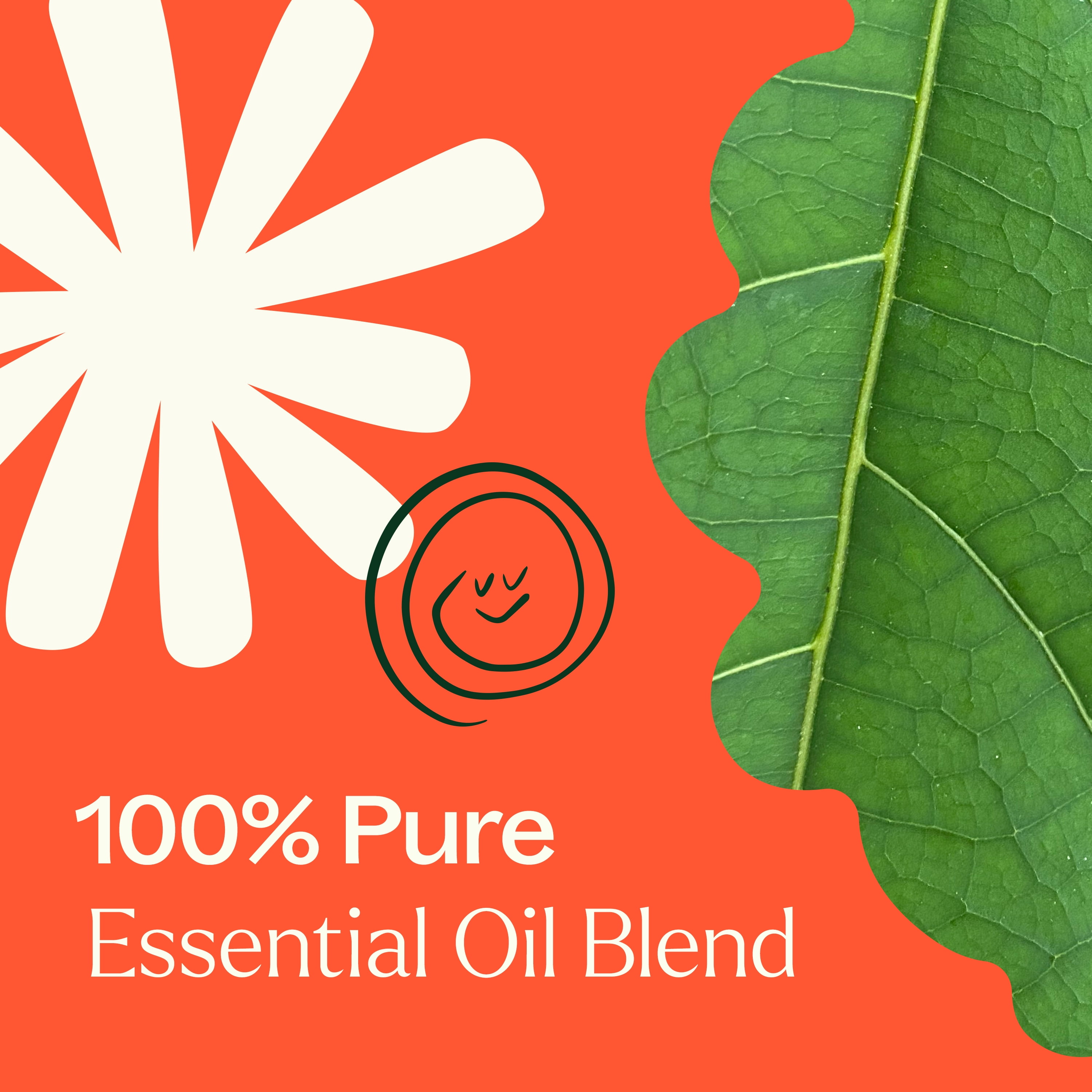 Plant Therapy Rapid Relief Essential Oil Blend 30 mL (1 oz) Pain and Soreness Blend 100% Pure, Undiluted, Natural Aromatherapy