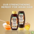 thumbnail image 6 of Garnier Whole Blends Repairing Shampoo with Ginger and Golden Honey, Damaged Hair, 12.5 fl oz, 6 of 9