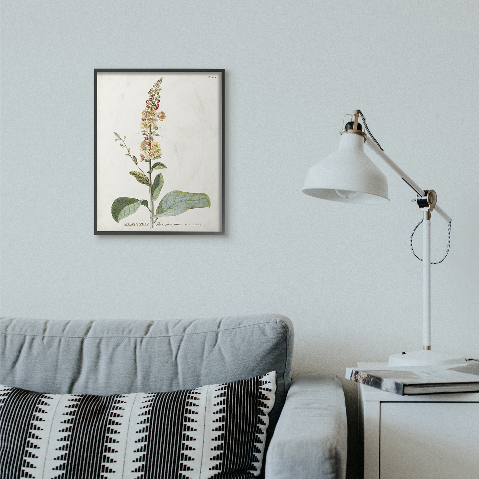 Stupell Industries Botanical Plant Illustration Flowers Vintage Design Framed Wall Art by Unknown
