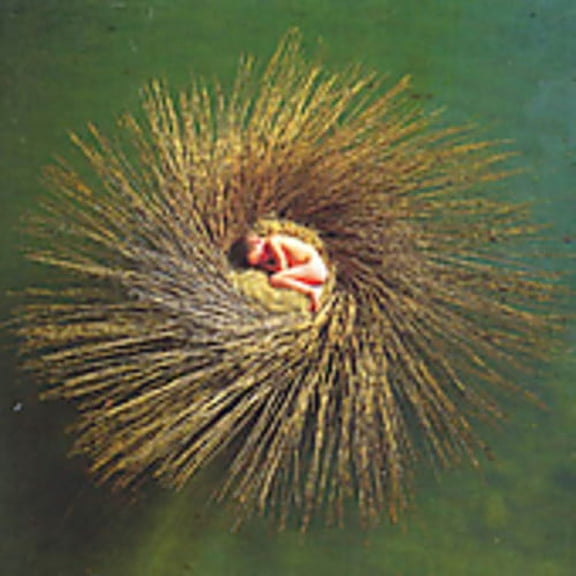 Peter Gabriel - Ovo: Millennium Show - Music & Performance - CD