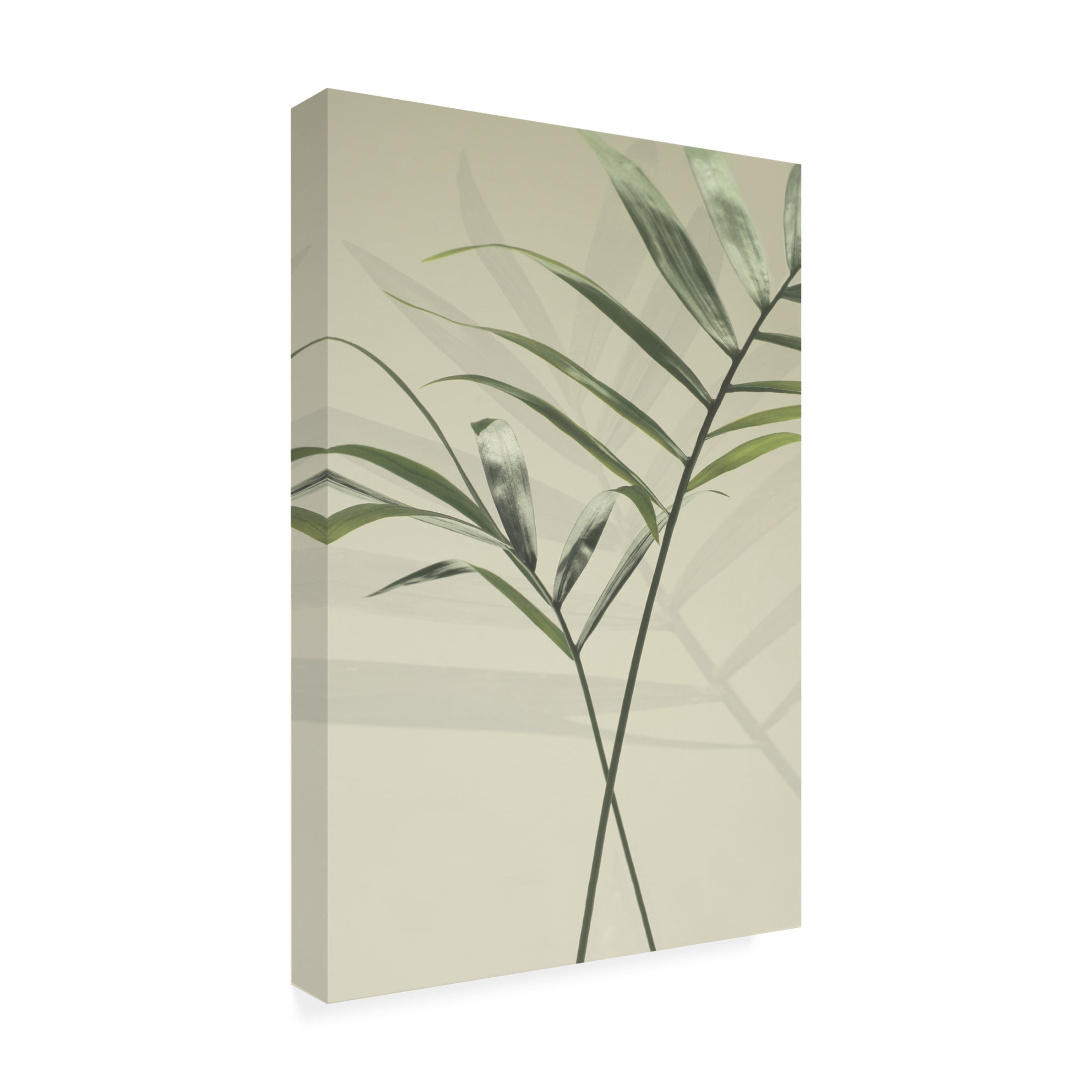 Canvas Wall Art - Heidi Westum 'Together' Wall Art for Living Room, Bedroom, or Office Décor by Trademark Fine Art - 22 x 32 Inches
