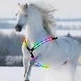 thumbnail image 3 of LED Horse Breastplate Collar USB Rechargeable Adjustable Equestrian Gear, 3 of 8