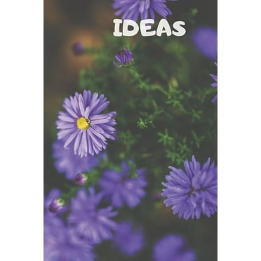 Ideas : 90 Pages of 6 X 9 Inch White Numbered Pages No Lines (Paperback)