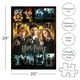 thumbnail image 2 of Collage de pósters de películas de Harry Potter de Puzzle AQUARIUS, 1000 piezas, 2 of 7