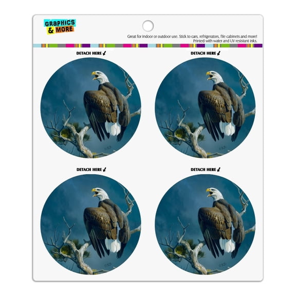 Bald Eagle Nest Raptor Refrigerator Fridge Locker Vinyl Circle Magnet Set