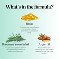 thumbnail image 3 of Biotin Rosemary Conditioner for Hair Growth - Vegan Sulfate Free Rosemary Biotin Conditioner for Hair Growth with Moisturizing & Volumizing Rosemary Essential Oil for Fine Weak & Dull Hair (16 Fl Oz), 3 of 8