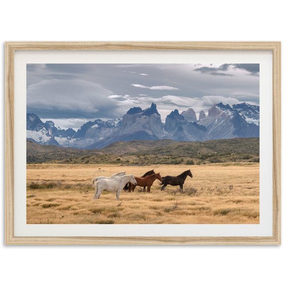 Fine Art Wild Horses Print Horse Photography, Patagonia Mountains Print, Western Wall Art, Coastal Cowgirl Wall Decor Wall Art, Modern Wall Decor, 8x12 UNFRAMED