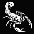 thumbnail image 2 of Flmtop Autocollant Décoratif de Mode Scorpion Réfléchissant pour Capot de Voiture Ou Véhicule, 2 of 6