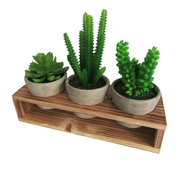 Artificial Succulent 3 Pieces Assorted Potted Fake Green Plant in Cement Pot