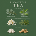 thumbnail image 3 of Eucalyptus Tea Reed Diffuser, 3 of 4