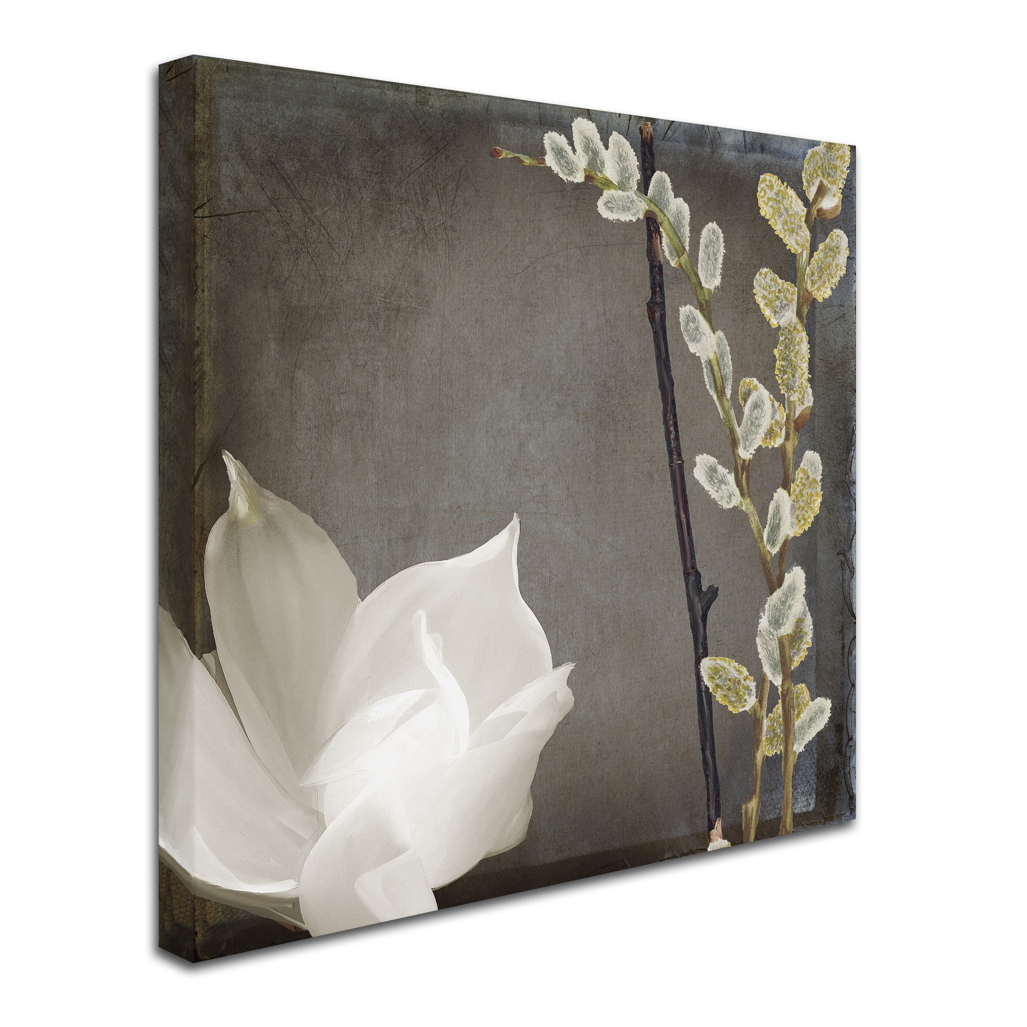 Trademark Fine Art "India II" Canvas Art by Color Bakery